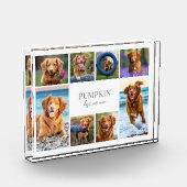 Einfache Fotocollage mit Hund Fotoblock (Links)