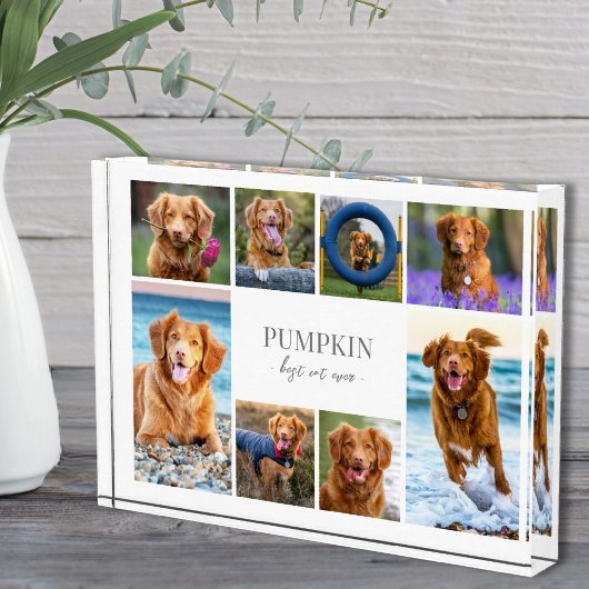 Einfache Fotocollage mit Hund Fotoblock