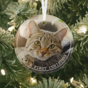 Einfache Frame Animal Pet Foto Ornament Aus Glas