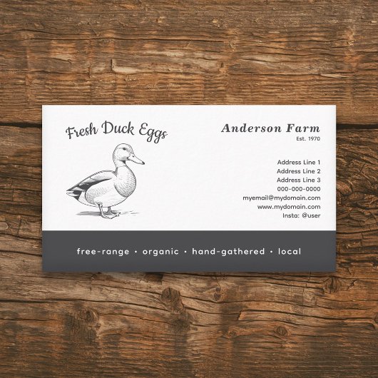 Einfache frische Enteneier Visitenkarte