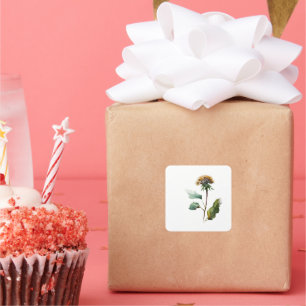 Einfache Gastgeschenk Hochzeit-Aufkleber Quadratischer Aufkleber