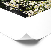 Einfache Gestaltung Ihres eigenen Fotos Kunst mit  Fotodruck (Ecke)