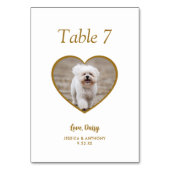 Einfache Goldhunde-Foto-Hochzeit Tischnummer (Rückseite)