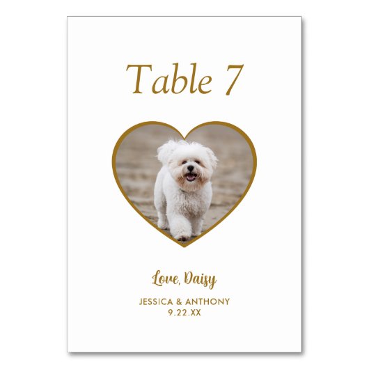 Einfache Goldhunde-Foto-Hochzeit Tischnummer (Vorderseite)