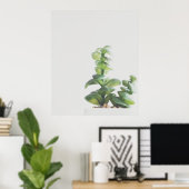 Einfache grüne Pflanze Minimalistisches Foto Poster (Heimbüro)