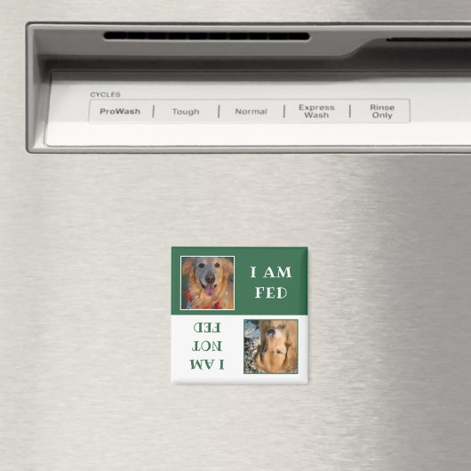 Einfache, grüne Weiße Hündin Gefüttert Foto Magnet (In Situ (Geschirrspüler))