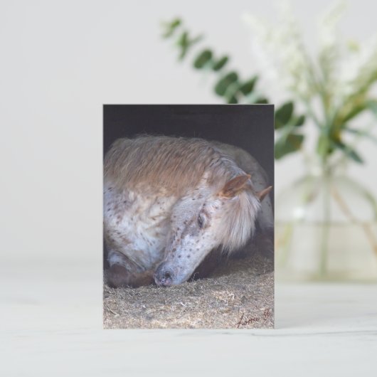 Einfache Handhabung Postkarte (Stehend Vorderseite)