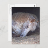 Einfache Handhabung Postkarte (Vorne/Hinten)