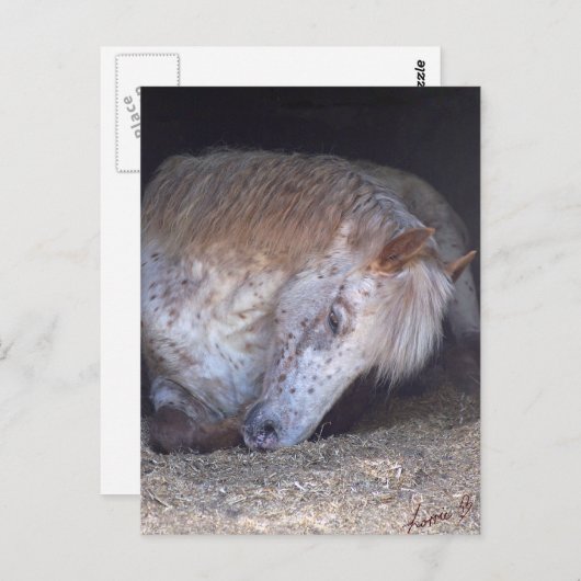 Einfache Handhabung Postkarte (Vorne/Hinten)