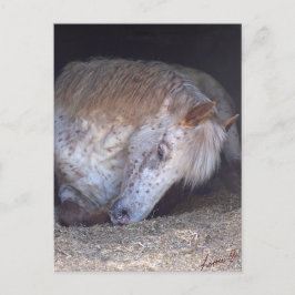 Einfache Handhabung Postkarte