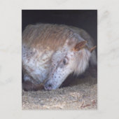 Einfache Handhabung Postkarte (Vorderseite)