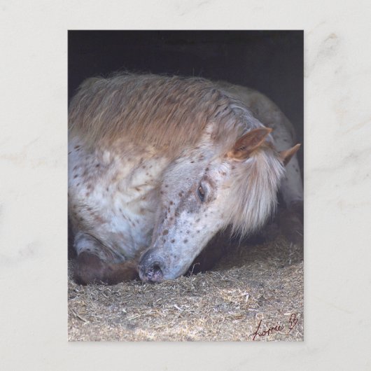 Einfache Handhabung Postkarte (Vorderseite)