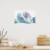 Einfache Handskizze Seashell Zeichnend | Poster (Küche)