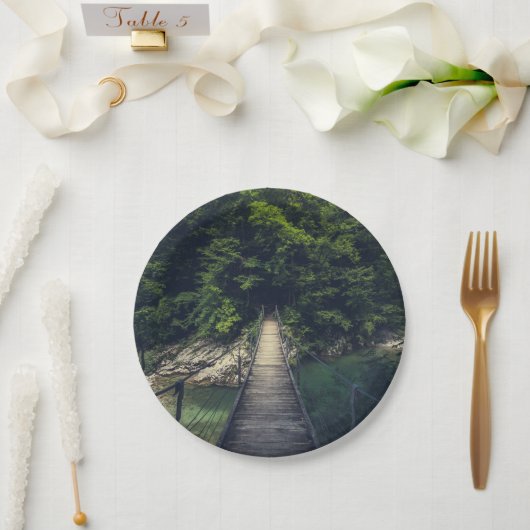 Einfache Hängebrücke über den Fluss Idrijca, Slove Pappteller (Hochzeit)