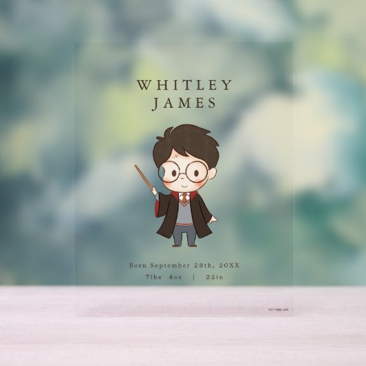 Einfache Harry Potter Kinderdusche Acrylschild (Neutral)