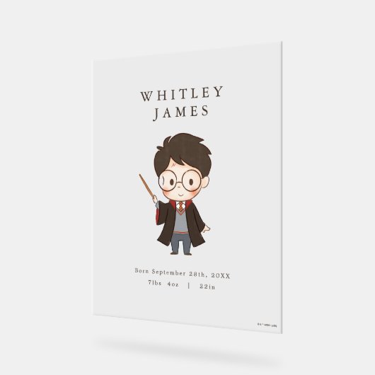 Einfache Harry Potter Kinderdusche Acrylschild (Winkel)