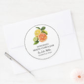 Einfache, hausgemachte Mischung von Zitrusfrüchten Runder Aufkleber (Umschlag)