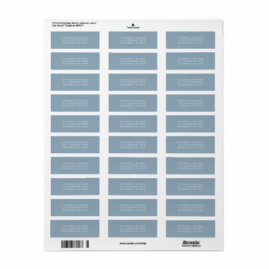 Einfache hellblaue Rücksendeadressen-Aufkleber (Vorne)