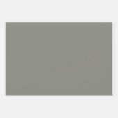 Einfache, hellgrüne, dunkelgraue Chic-Shades Geschenkpapier Set (Vorderseite 3)