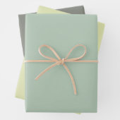 Einfache, hellgrüne, dunkelgraue Chic-Shades Geschenkpapier Set (Beispiel)