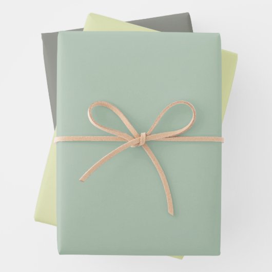 Einfache, hellgrüne, dunkelgraue Chic-Shades Geschenkpapier Set (Beispiel)