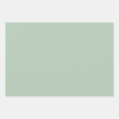 Einfache, hellgrüne, dunkelgraue Chic-Shades Geschenkpapier Set (Vorderseite)