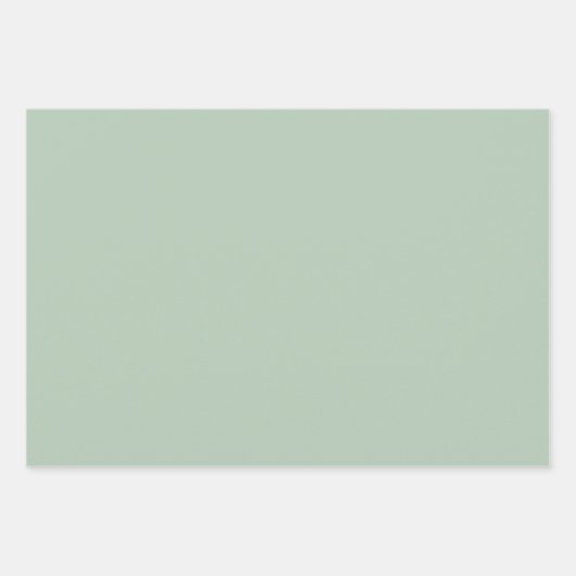 Einfache, hellgrüne, dunkelgraue Chic-Shades Geschenkpapier Set (Vorderseite)