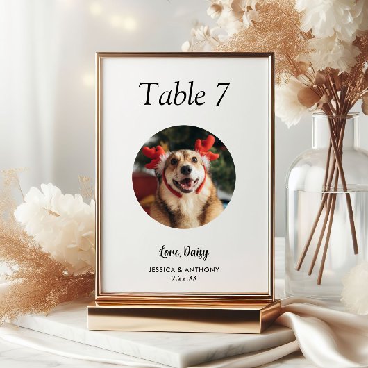 Einfache Hochzeit von Schwarz-Weiß-Hunden-Foto Tischnummer