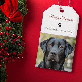 Einfache Hunde Foto Frohe Weihnachten Geschenkanhänger