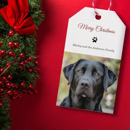 Einfache Hunde Foto Frohe Weihnachten Geschenkanhänger
