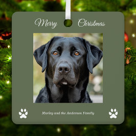 Einfache Hunde Foto Frohe Weihnachten Grün Ornament Aus Metall