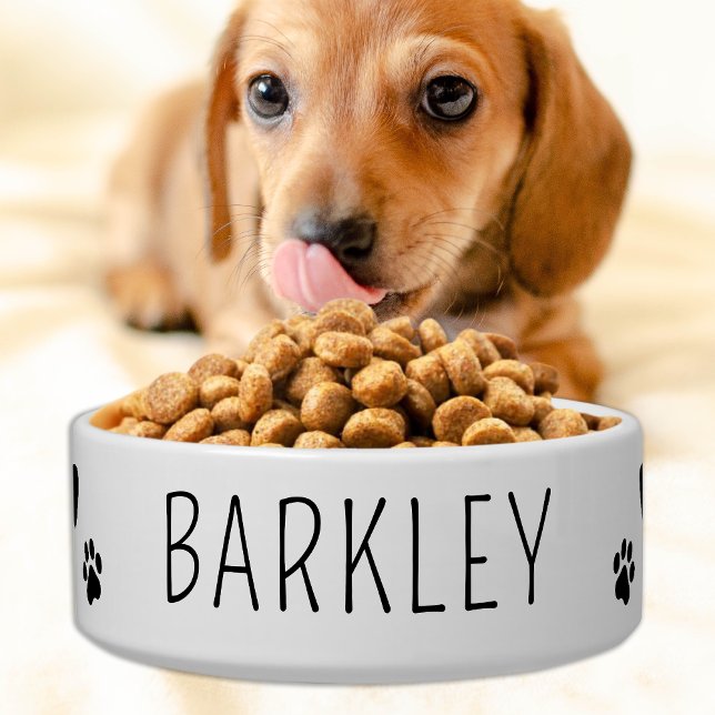 Einfache Hunde Personalisierte Keramik mit Nahrung Napf (Von Creator hochgeladen)