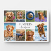 Einfache Hundehüttenfotosammlung Fotoplatte (Vorderseite)