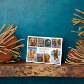 Einfache Hundehüttenfotosammlung Fotoplatte (Seite)