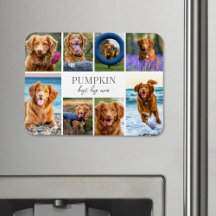 Einfache Hundehüttenfotosammlung