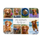 Einfache Hundehüttenfotosammlung Magnet (Horizontal)