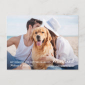 Einfache Hündin für Haustiere Save the Date Ankündigungspostkarte (Vorderseite)