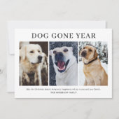 Einfache Hündin Gone Jahr 3 Foto Weihnachten (Vorderseite)