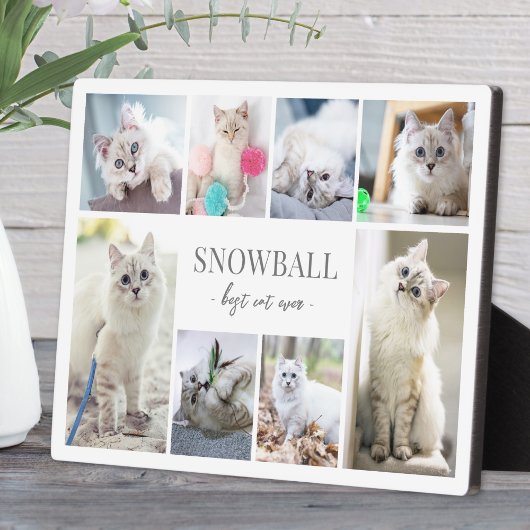 Einfache Katzen-Foto-Collage Fotoplatte
