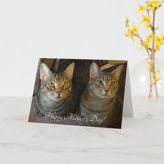 Einfache Katzen Foto Muttertag Karte (Gelbe Blume)