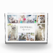 Einfache Katzen-FotoCollage Fotoblock (Vorderseite)