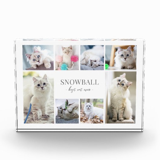 Einfache Katzen-FotoCollage Fotoblock (Vorderseite)