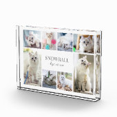 Einfache Katzen-FotoCollage Fotoblock (Rechts)