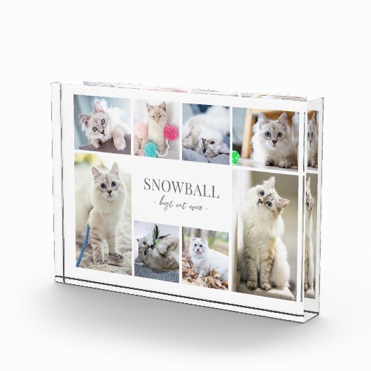 Einfache Katzen-FotoCollage Fotoblock (Rechts)