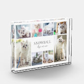 Einfache Katzen-FotoCollage Fotoblock (Links)