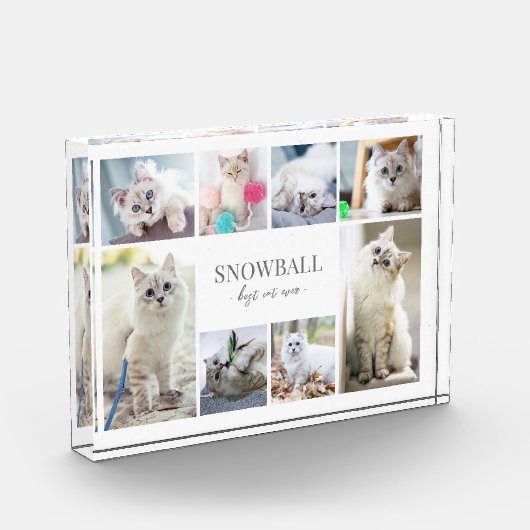 Einfache Katzen-FotoCollage Fotoblock (Links)