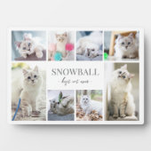 Einfache Katzen-FotoCollage Fotoplatte (Vorderseite)