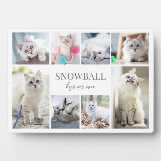 Einfache Katzen-FotoCollage Fotoplatte (Vorderseite)