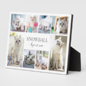 Einfache Katzen-FotoCollage Fotoplatte (Seite)