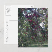 Einfache Lebensfreude Postkarte (Vorne/Hinten)